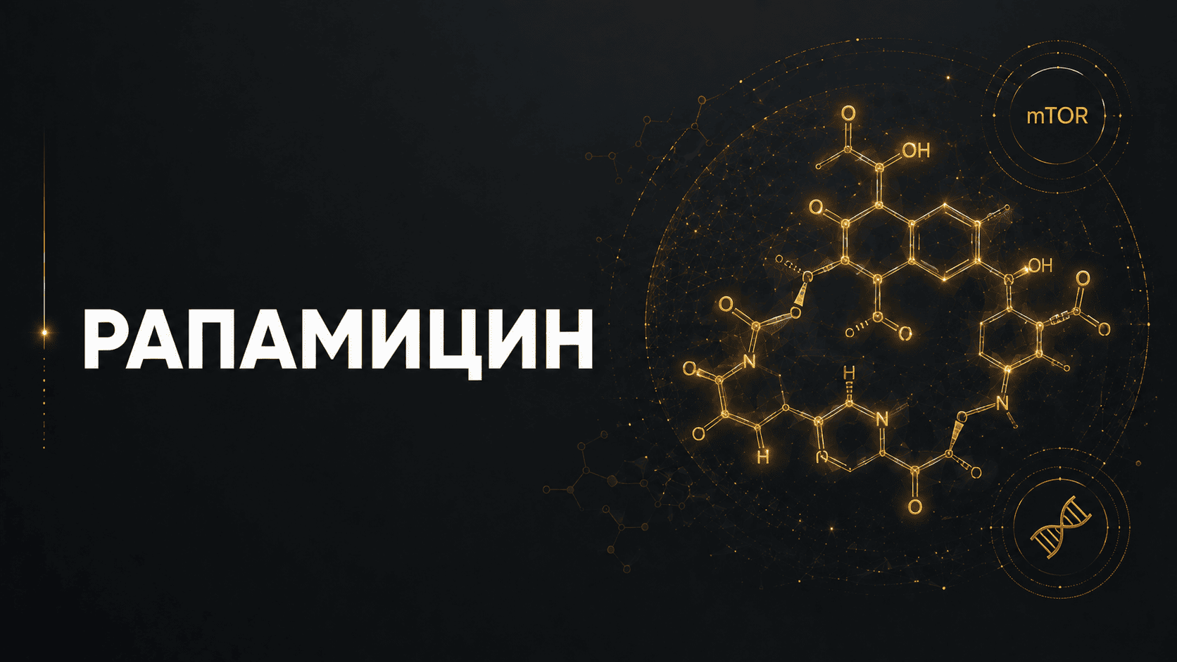 Рапамицин обзор побочные свойства